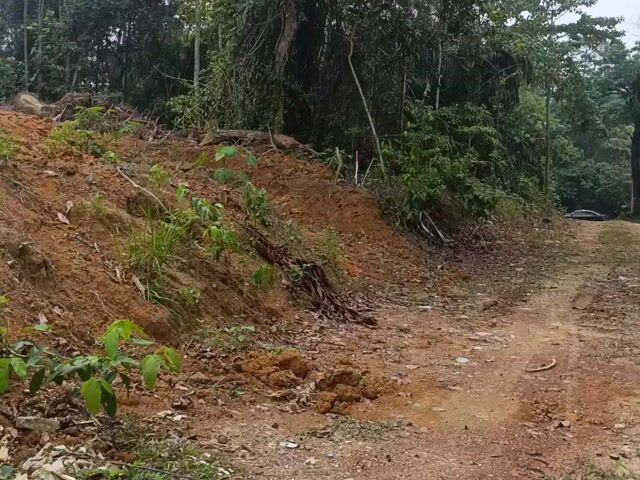 Video Image 1