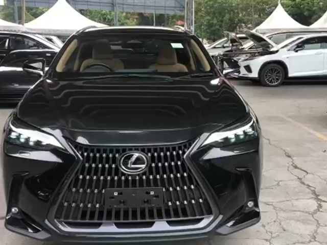 2023 Lexus NX250 2.5 LUXURY Panaromic Roof HUD 360 - 1