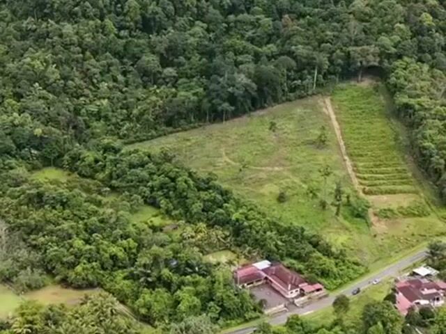 Video Image 1