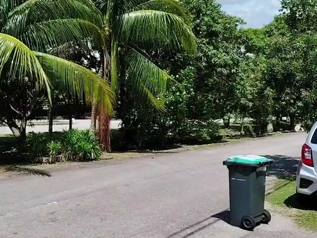 Video Image 1
