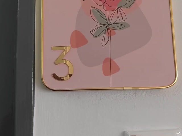 Video Image 1
