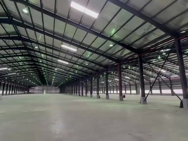 Video Image 1