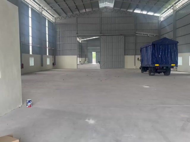 Video Image 1