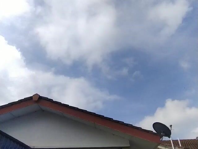 Video Image 1