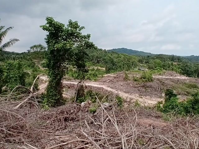 Video Image 1