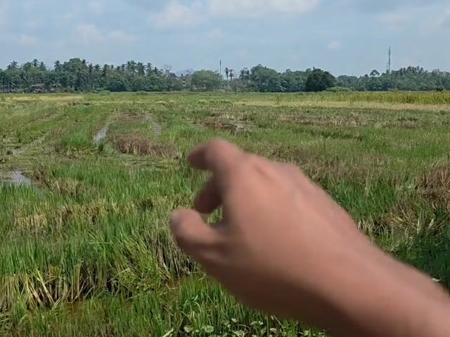Video Image 1