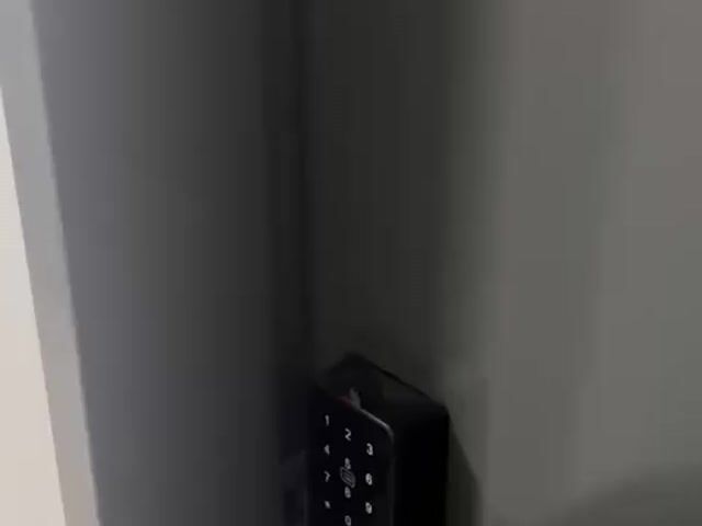 Video Image 1
