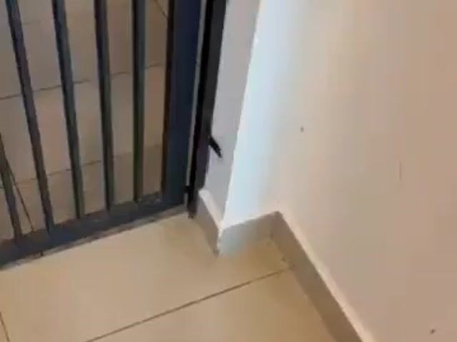 Video Image 1