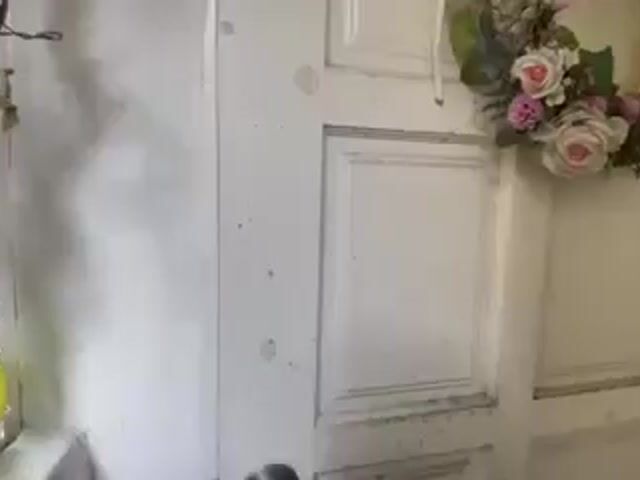 Video Image 1