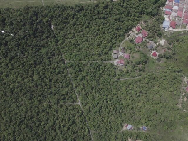 Video Image 1