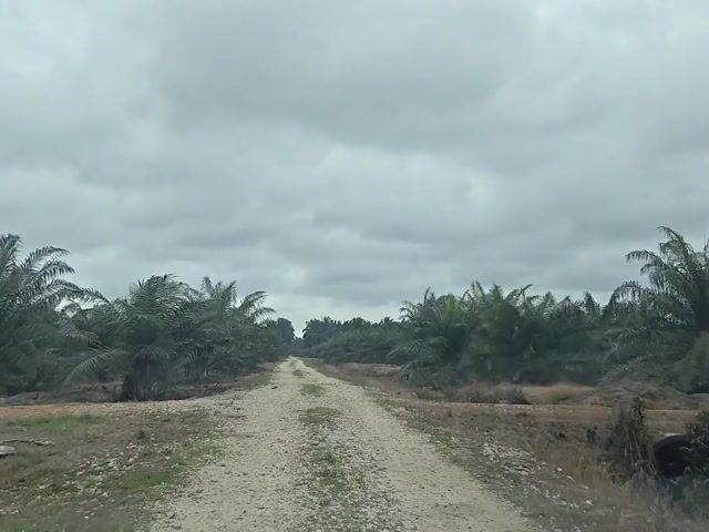 Video Image 1