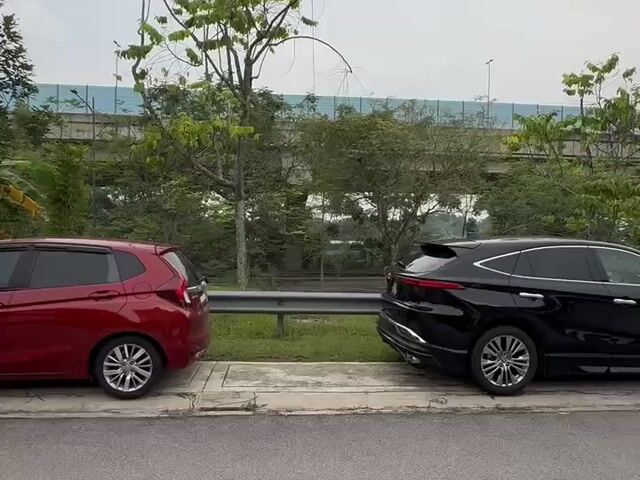 Video Image 1