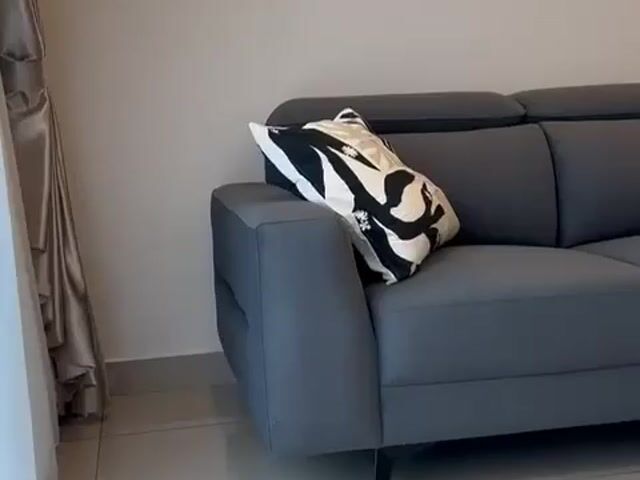 Video Image 1