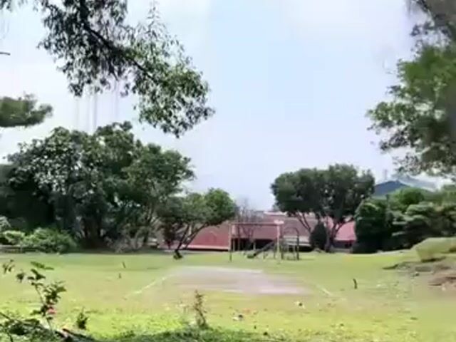 Video Image 1