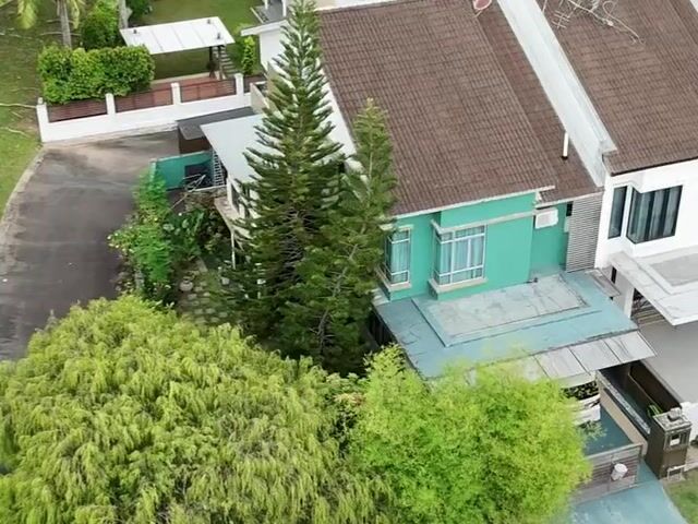 Video Image 1