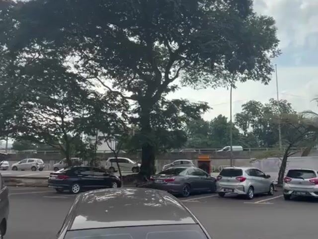 Video Image 1