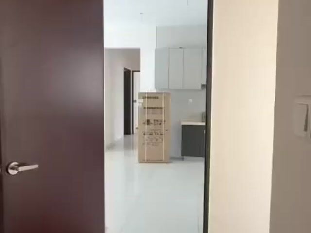 Video Image 1