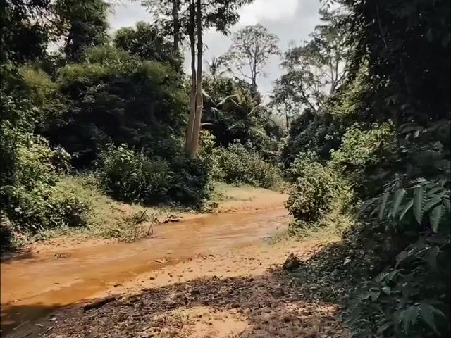 Video Image 1