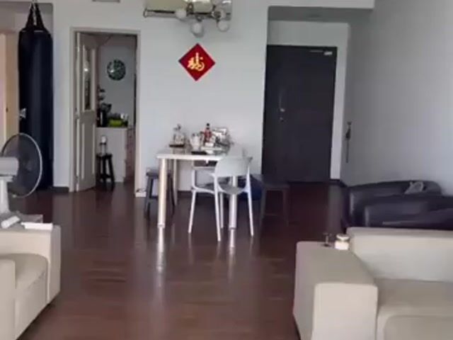 Video Image 1