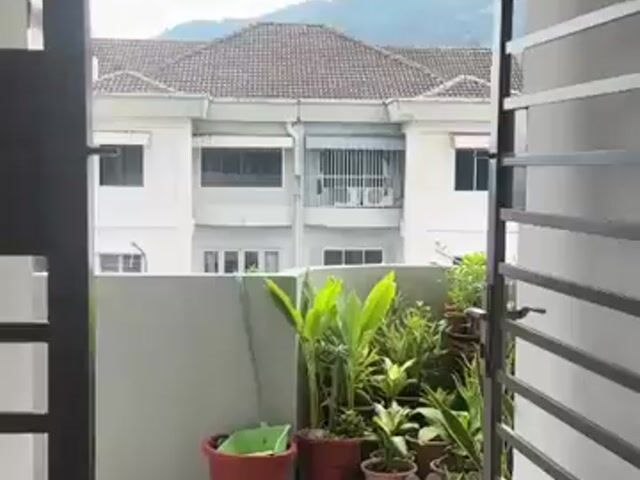 Video Image 1