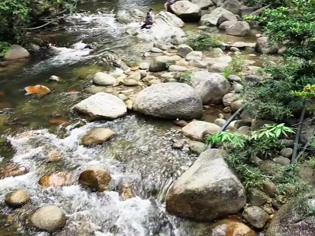 Video Image 1