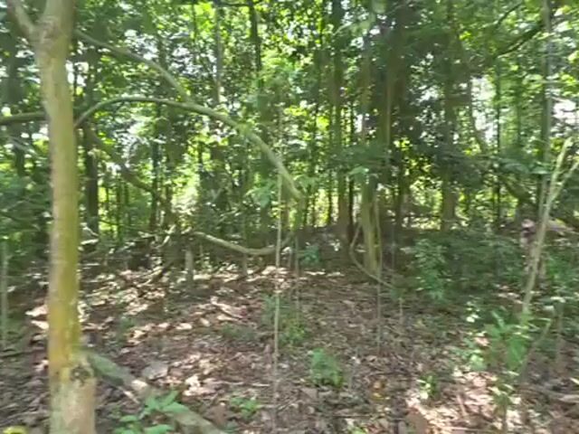Video Image 1