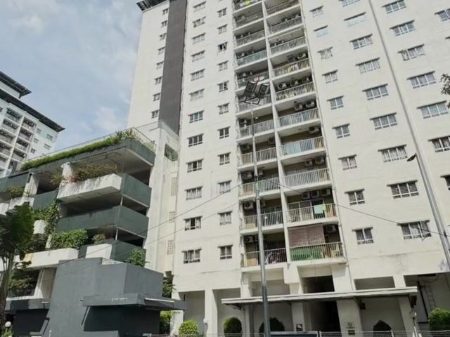 Video Image 1