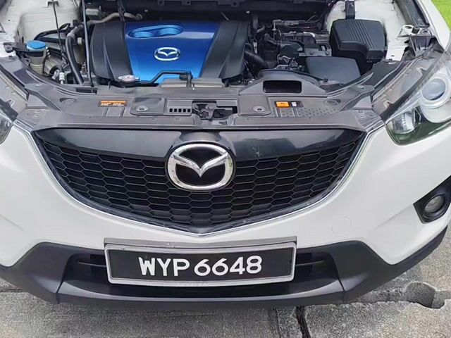 2013 Mazda CX-5 2.0 2WD MID SPEC (A) - 1