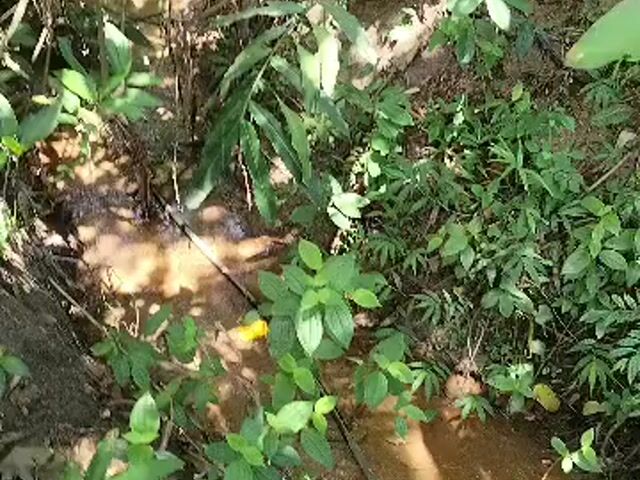 Video Image 1