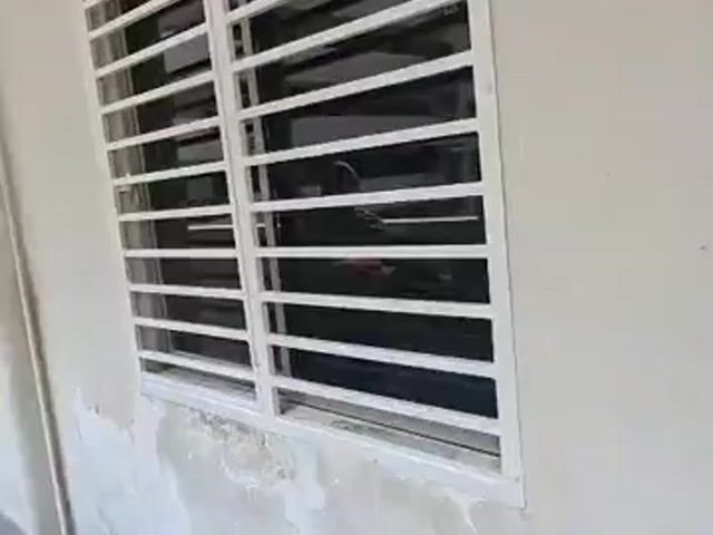 Video Image 1