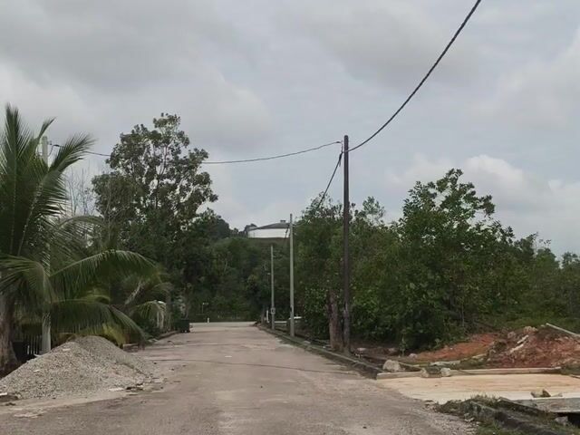 Video Image 1
