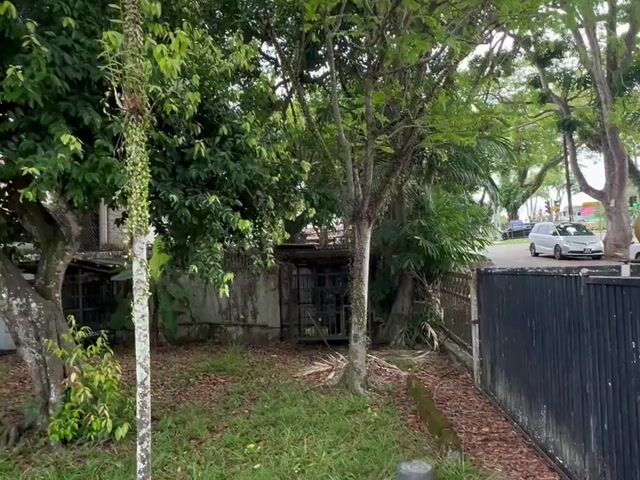 Video Image 1