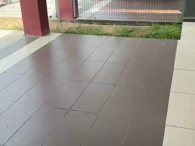 Video Image 1