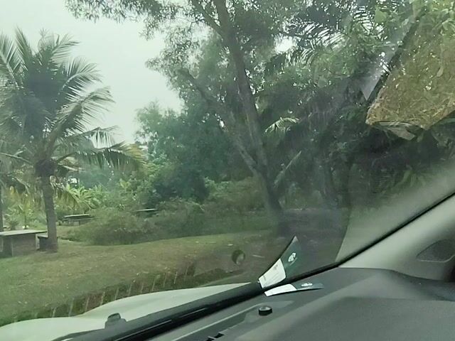 Video Image 1