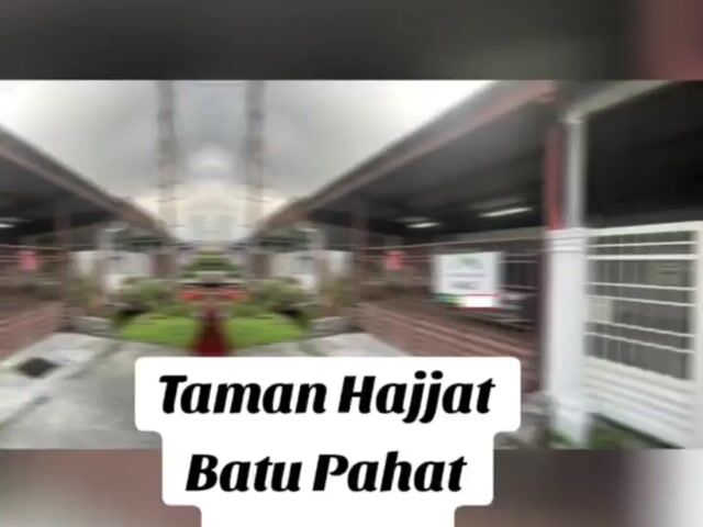 Video Image 1