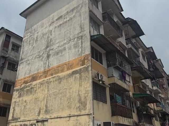 Video Image 1