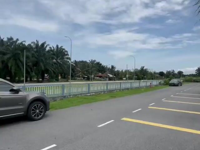 Video Image 1