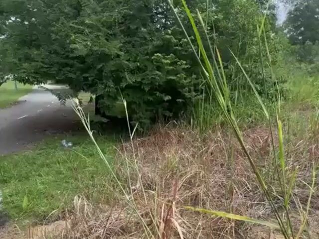 Video Image 1