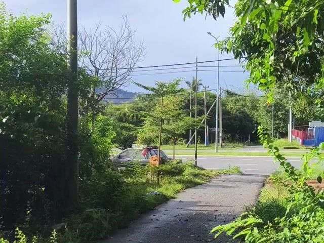 Video Image 1