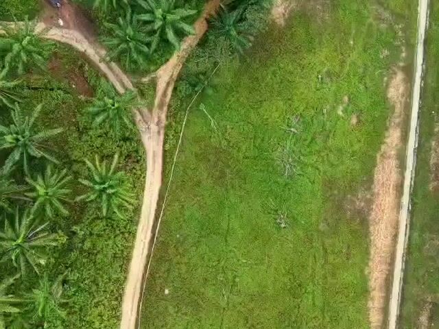 Video Image 1