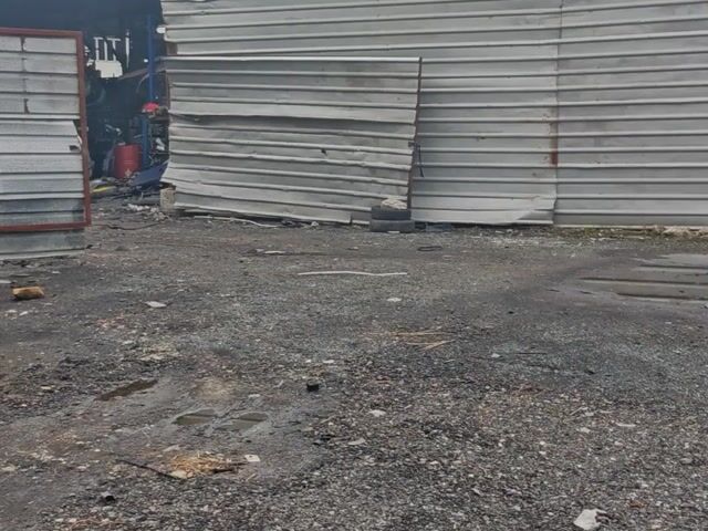 Video Image 1