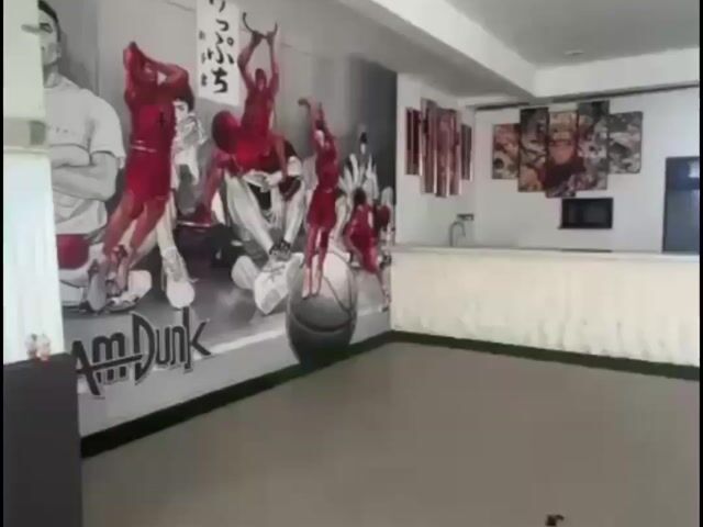 Video Image 1