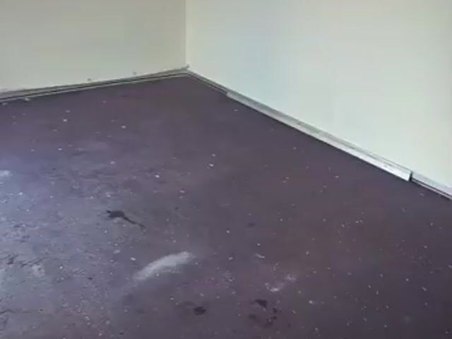 Video Image 1