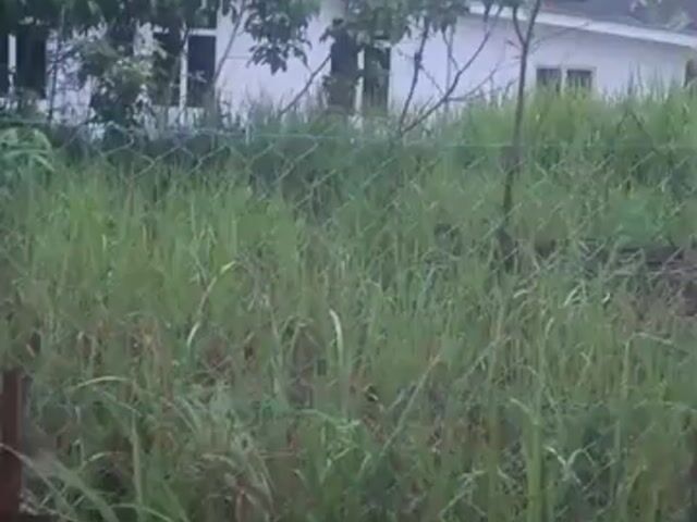 Video Image 1