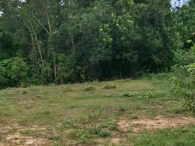 Video Image 1