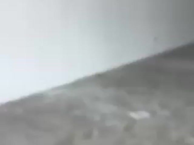 Video Image 1