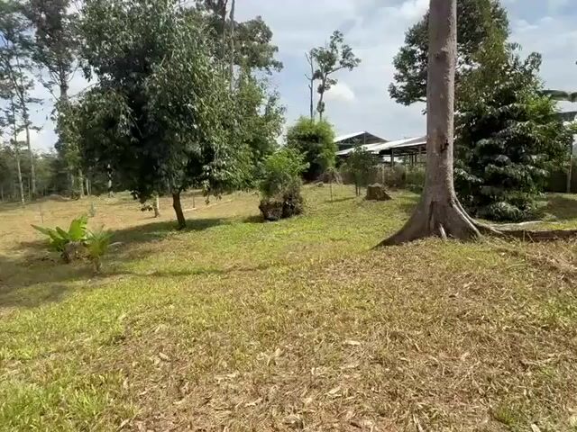 Video Image 1