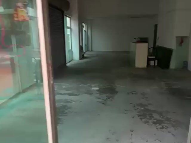 Video Image 1