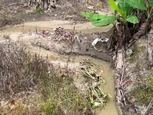 Video Image 1