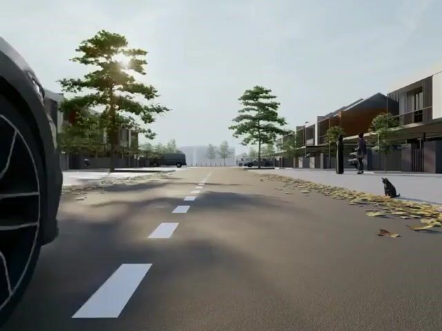 Video Image 1